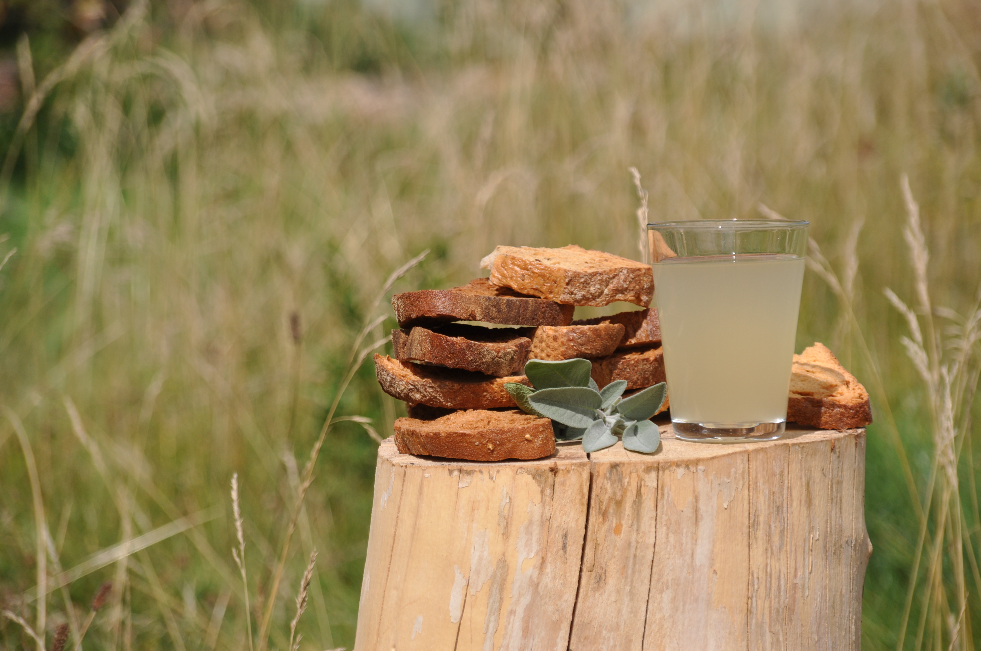 Nordic Kvass